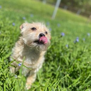 Meet your Posher, Michaela